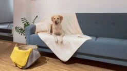 Hunde-Decke "Calina"