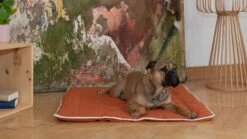 Hunde-Steppdecke "Estera"