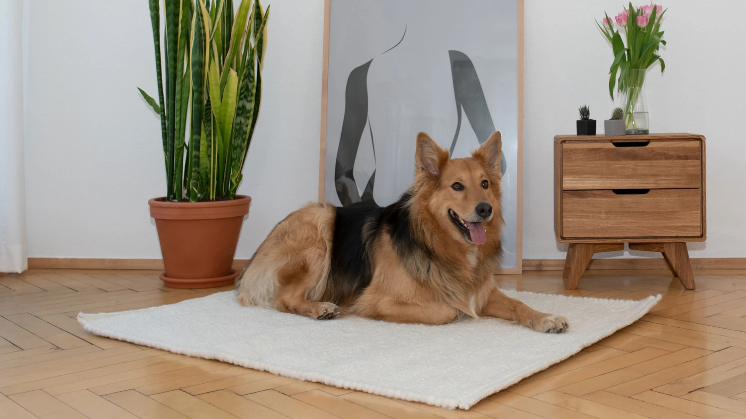 Schurwoll-Matte "Lanoso" – Bild 6