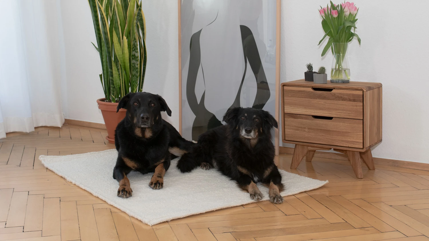 Schurwoll-Matte "Lanoso" – Bild 3