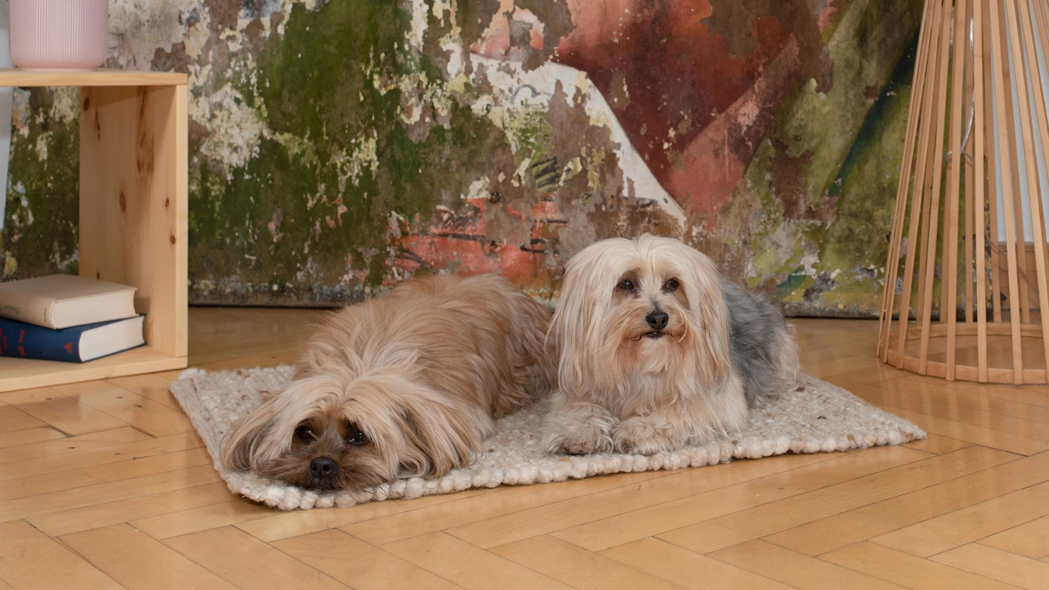 Schurwoll-Matte "Lanoso" – Bild 4