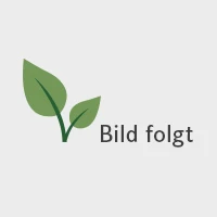 Visco-Nackenstützkissen "Ortho-Plus" – Bild 6